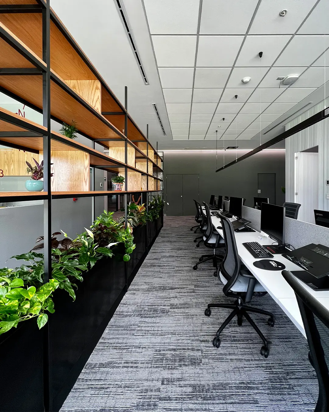 Proyecto Clariant 23 de Moetti Ciudad de México - Área de coworking